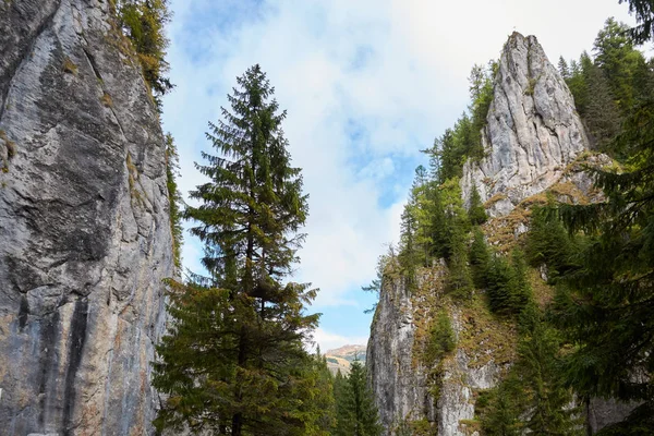 Vista de las rocas cerca de la entrada de la cueva Lalomita en las montañas Bucegi, Rumania. Otoño montaña paisaje . — Foto de Stock