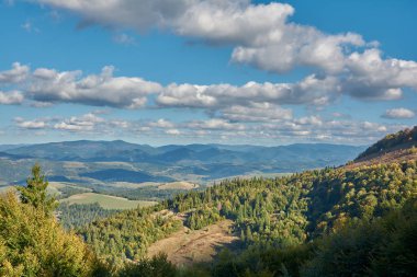 Karpat Dağları 'ndaki dağ manzarası, Pylypets, Ukrayna. Gymba Dağı 'ndan vadi ve Pylypets köyü manzarası.