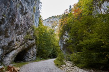 Romanya 'nın Zarnesti kentindeki Carpathian Dağları' ndaki Gorge Zarnestiului Prapastiei. Doğa Piatra Craiului Ulusal Parkı 'nı koruyor. Kayaların arasındaki yürüyüş yolu, sonbahar.
