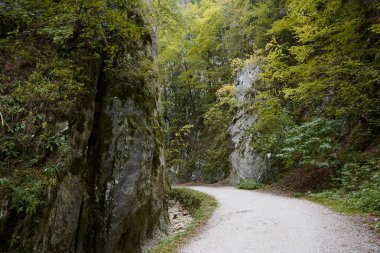 Romanya 'nın Zarnesti kentindeki Carpathian Dağları' ndaki Gorge Zarnestiului Prapastiei. Doğa Piatra Craiului Ulusal Parkı 'nı koruyor. Kayaların arasındaki yürüyüş yolu, sonbahar.