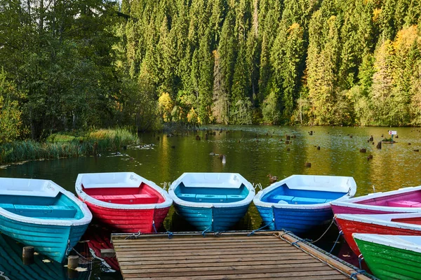 Многоцветные Лодки Пирсе Озере Лаку Розу Румыния Осенний Пейзаж Горного — стоковое фото
