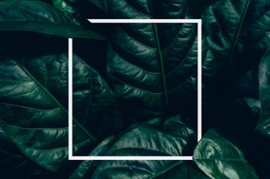 Yeşil yapraklardan oluşan yaratıcı bir düzen