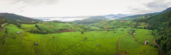 Vue du dessus des rizières — Photo