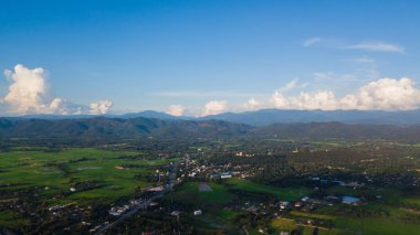 Kuzey Tayland 'daki çeltik tarlalarının en üst manzarası