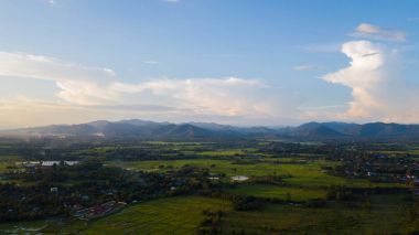 Kuzey Tayland 'daki çeltik tarlalarının en üst manzarası