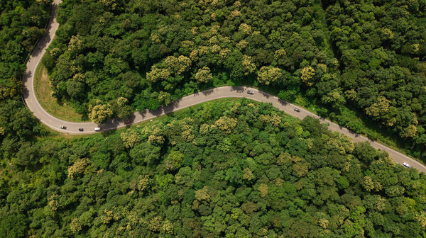 Aerial top view top view of the road through the trees,