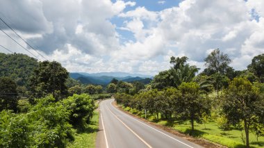 Ağaçların arasından yolun üst görüntüsü., 