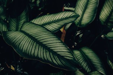 Parlak bir atmosferi olan güzel bir sabah. 