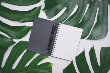 Moda nesne üzerinde beyaz arka plan ile yaratıcı flatlay