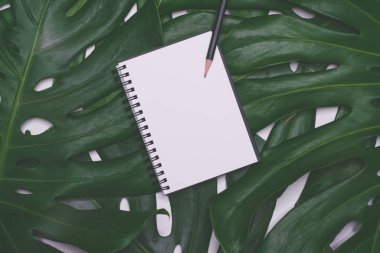 Moda nesne üzerinde beyaz arka plan ile yaratıcı flatlay