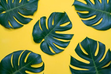 Asgari çalışma alanı, Üst görünüm düzlüğü