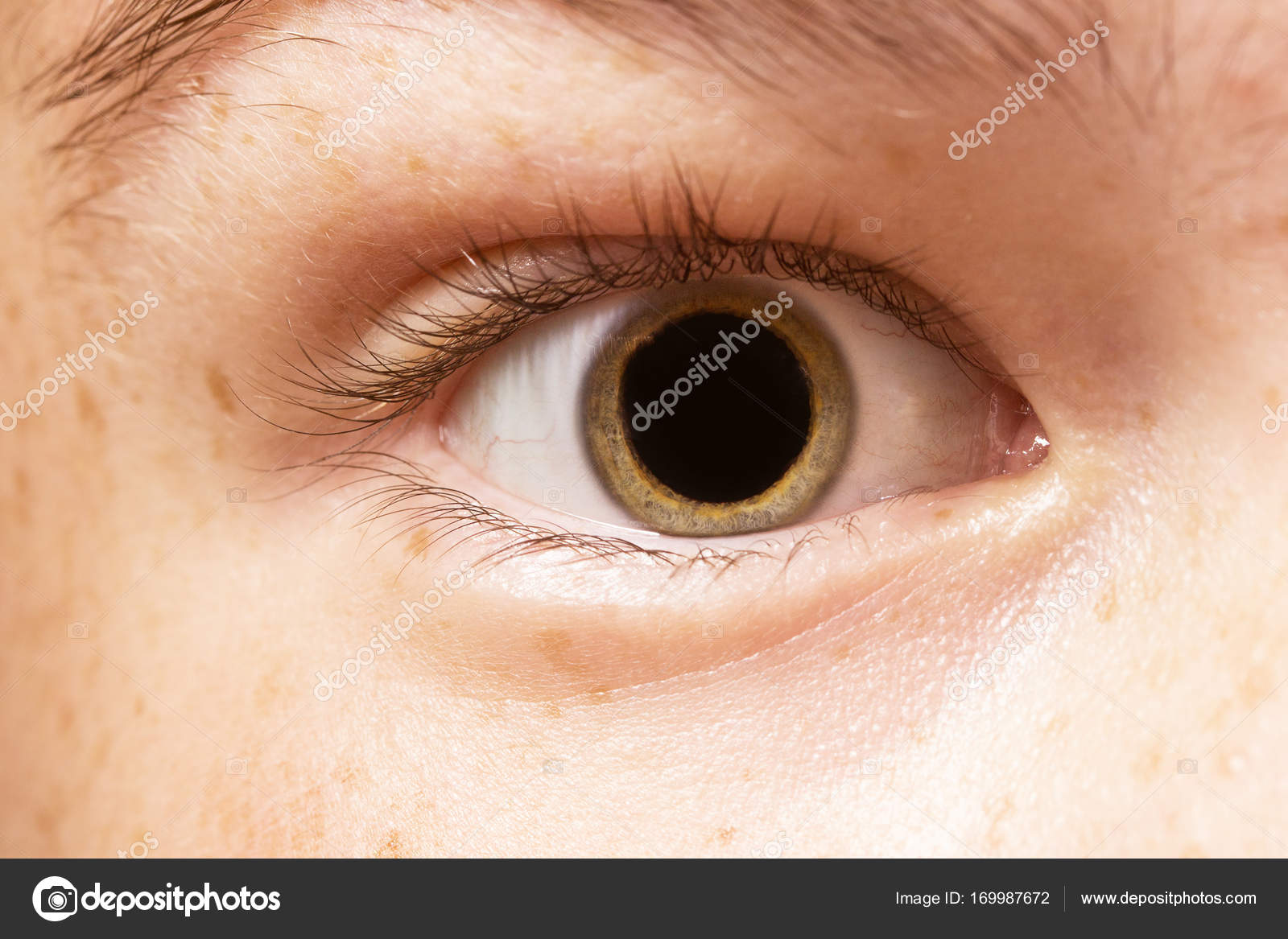 Black sclera 2 линзы. линзы большие зрачки. склеральные линзы голубые. белые зрачки. жёлтые глаза у человека.