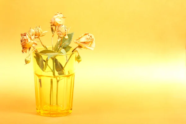 golden roses stand in a yellow glass on a yellow table