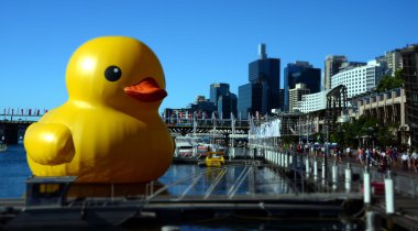 lastik ördek Victiria Limanı'nda yüzme 