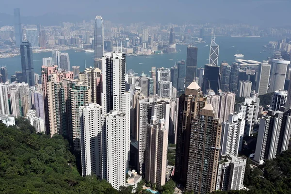 Hong Kong 도시에서 고층 빌딩 — 스톡 사진