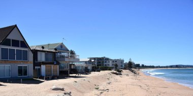 Collaroy Beach Avustralya 