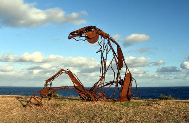Coogee sahil yürüyüş Bondi heykel 