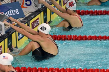 Fina Yüzme Dünya Kupası 