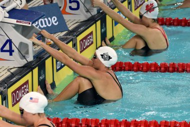 Fina Yüzme Dünya Kupası 