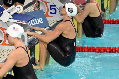 Fina Yüzme Dünya Kupası 