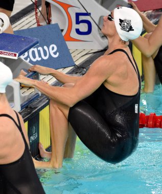 Fina Yüzme Dünya Kupası 