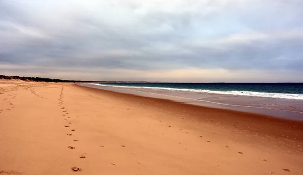 Hawks Nest beach at sunset — Stock Photo, Image