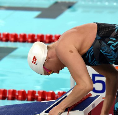 Fina Yüzme Dünya Kupası 