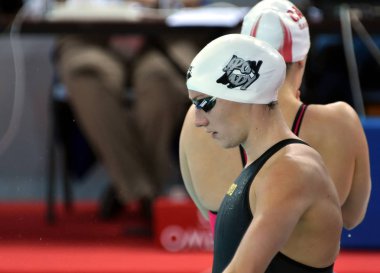 Fina Yüzme Dünya Kupası 