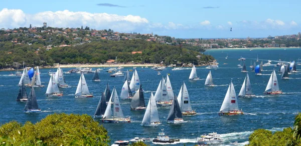 Sydney naar hobart yacht race — Stockfoto