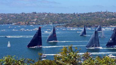 Spectators are watching the race from South Head.  clipart
