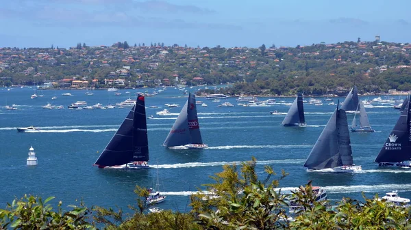 Les spectateurs regardent la course depuis South Head . — Photo