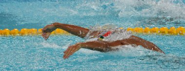Hong Kong, Çin - 29 Ekim 2016. Olimpiyat ve dünya şampiyonu yüzücü Le Clos erkekler kelebek 100 m ön ısı Yüzme Chad (Rsa). Fina Yüzme Dünya Kupası, Victoria Park Yüzme Havuzu.