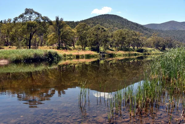 Australische Snowy Mountains in de zomer. — Stockfoto