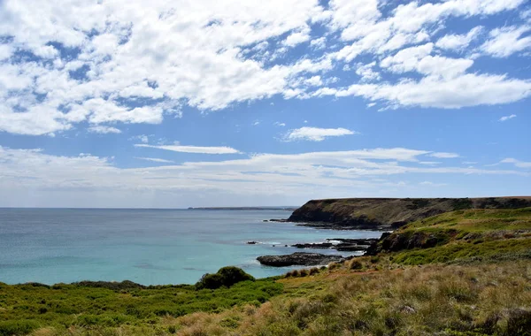 Parco Naturale di Phillip Island — Foto Stock