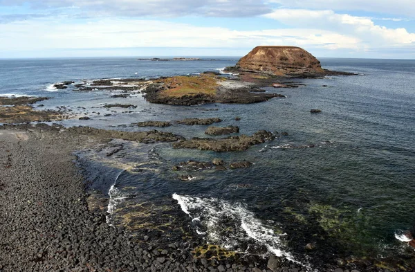 Phillip Island Park przyrody — Zdjęcie stockowe