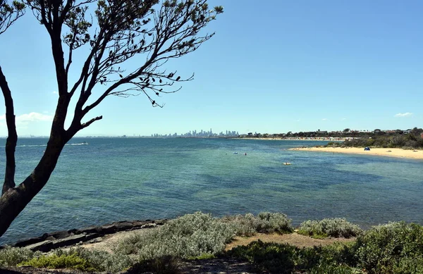 Línea del horizonte de Melbourne desde Brighton Beach Gardens — Foto de Stock