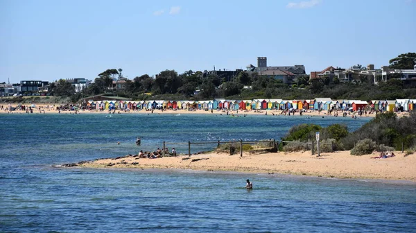 Badande på Brighton Beach — Stockfoto