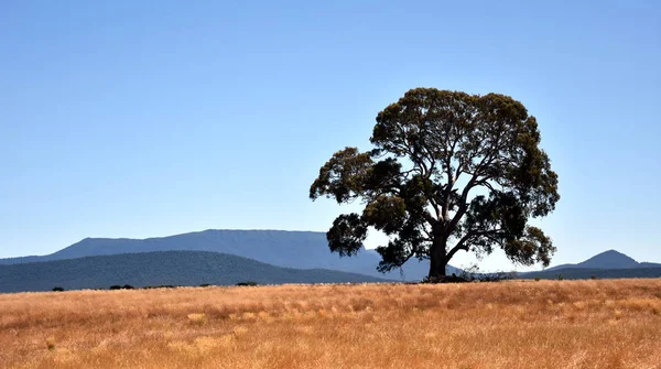 The Grampians range is majestic country — Stock Photo, Image