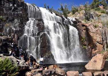 Mackenzie Falls şelale turist