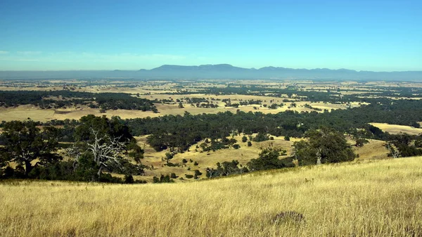 Amplio panorama del campo — Foto de Stock