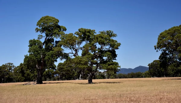 The Grampians range is majestic country — Stock Photo, Image