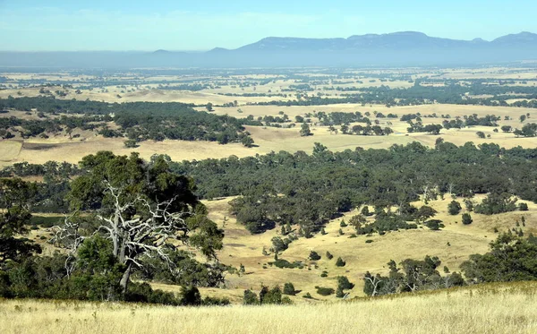Широкая панорама сельской местности — стоковое фото