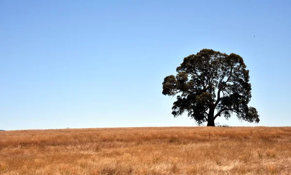 La gama Grampians es majestuoso país — Foto de Stock