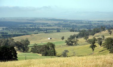 Geniş kırsal Panoraması