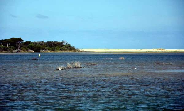 Vista de la costa de la Reserva Recreativa Marlo —  Fotos de Stock