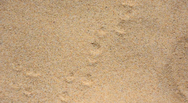 Бесшовный песчаный фон . — стоковое фото
