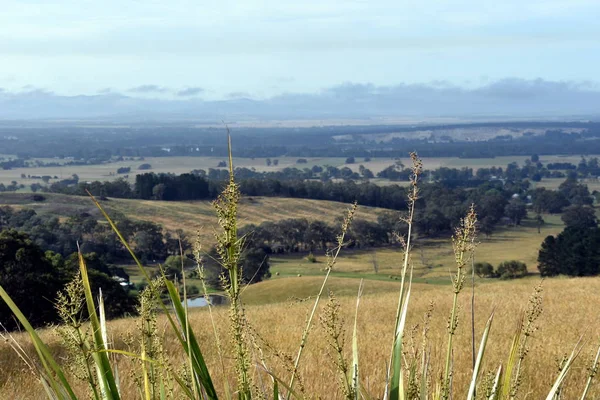 Broad panorama of the countryside — Stock Photo, Image