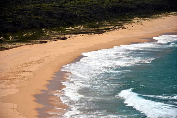 Cape Conran Coastal Park no verão — Fotografia de Stock