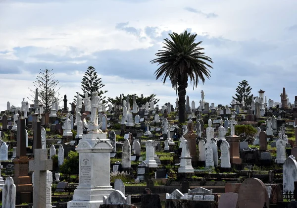 Waverley mezarlığı listelenen bir devlet mirasıdır — Stok fotoğraf
