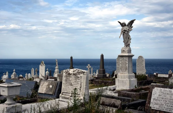 Waverley cmentarz jest dziedzictwo Państwa liście — Zdjęcie stockowe